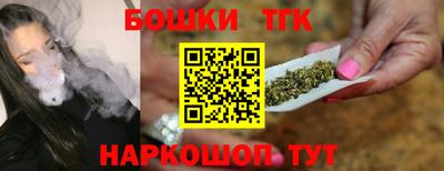 тгк Гусев