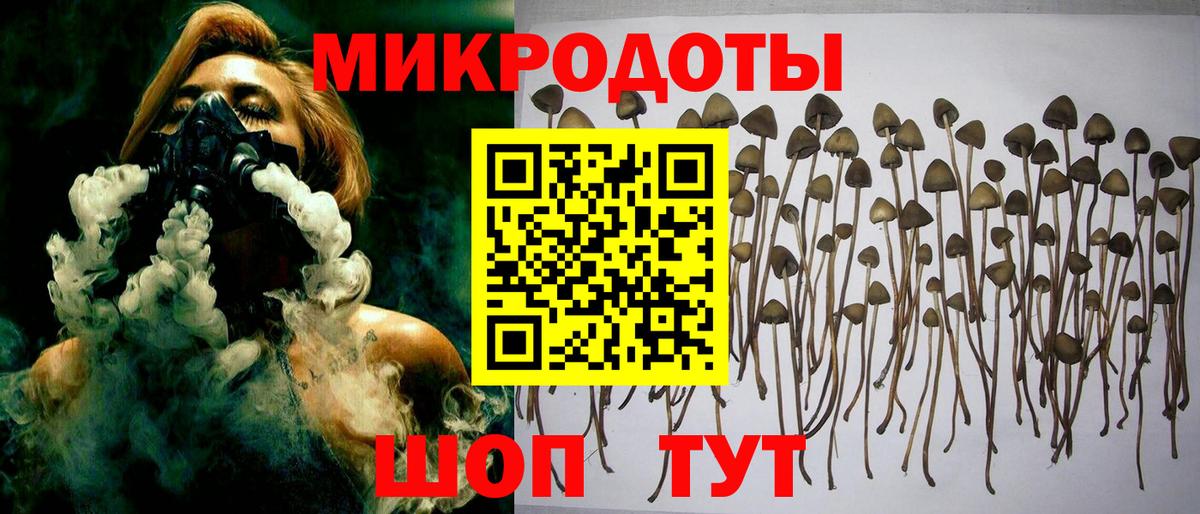 Миасс  Псилоцибиновые грибы мухоморы  Вход с VPN 